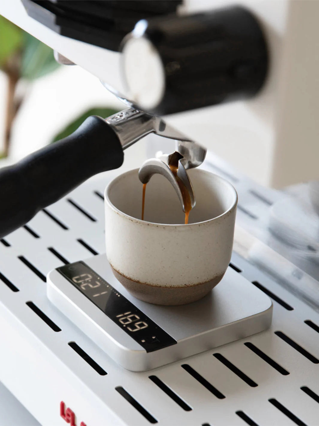 Acaia Lunar Scale