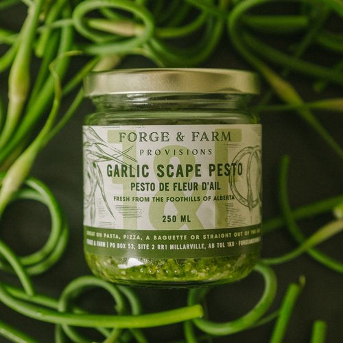 Garlic scape pesto