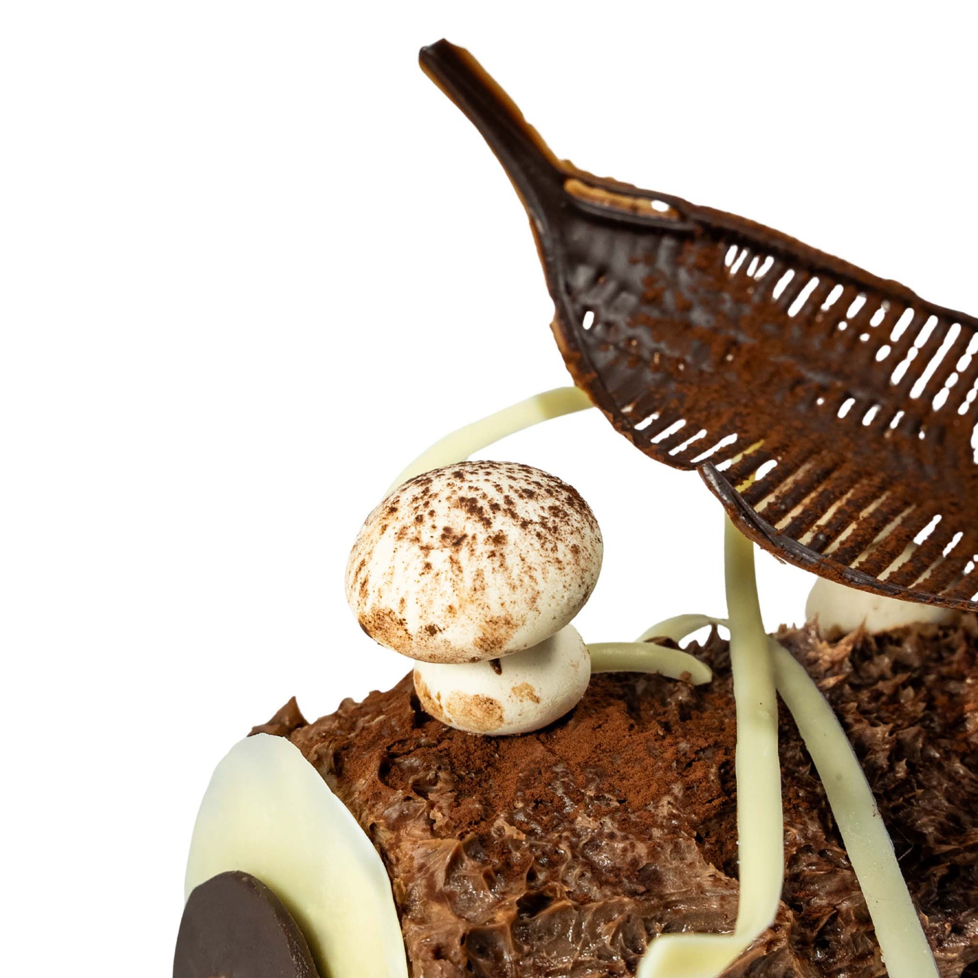 Close up of the bûche de Noël - La classique by Le fournil Bakery - Christmas 2025