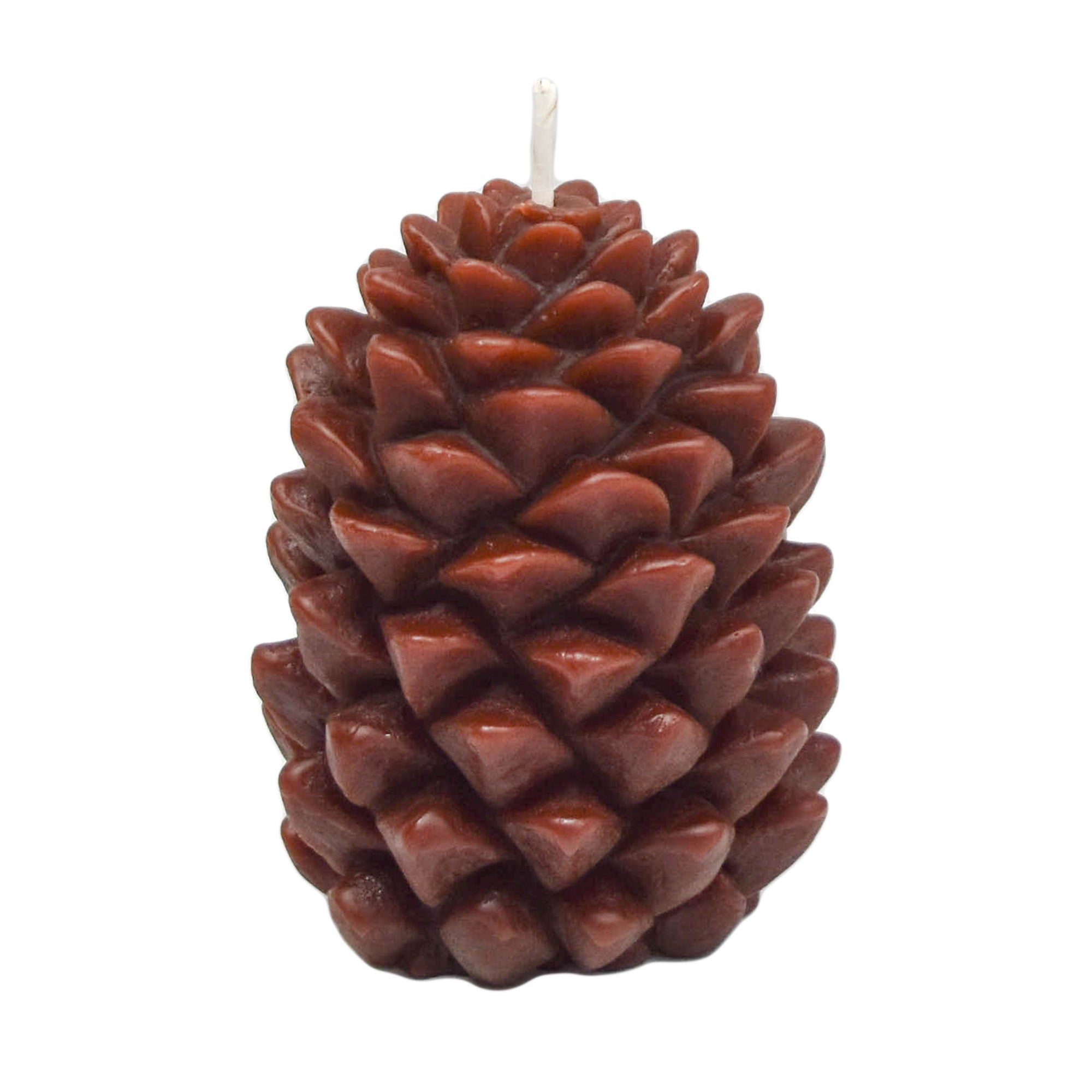 Honey Candles -Ponderosa Pine Cone Candle