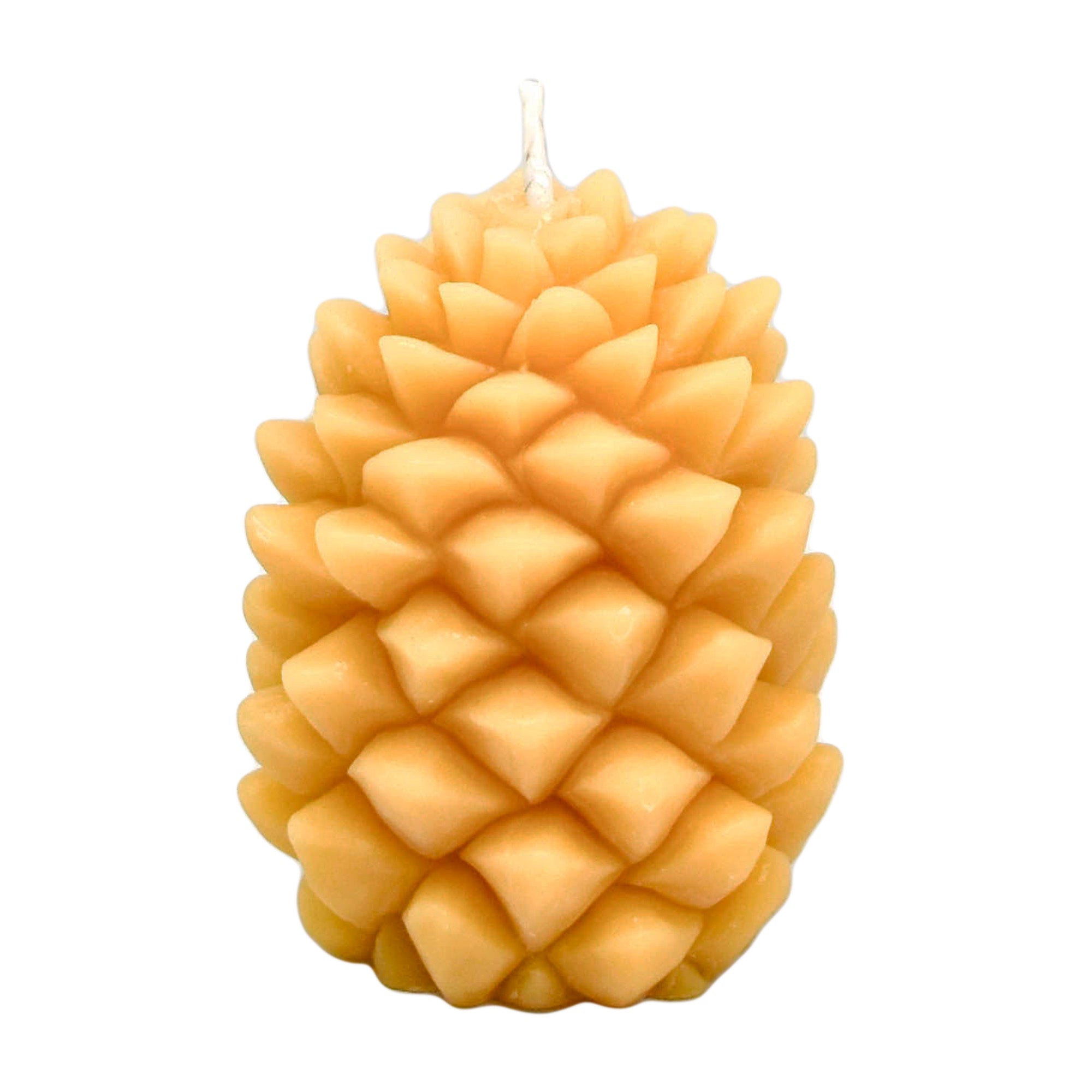 Pinecone Pillar - Honey Candles